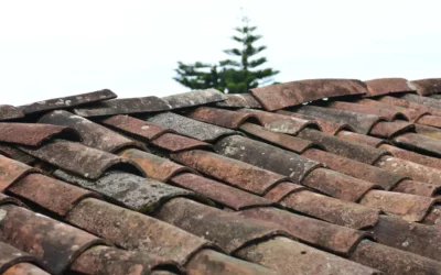 How Does the Weather Affect Your Roof?