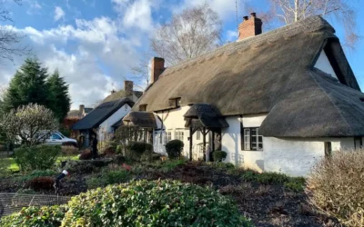 Thatched Roofing: Nightmare or Fairytale?